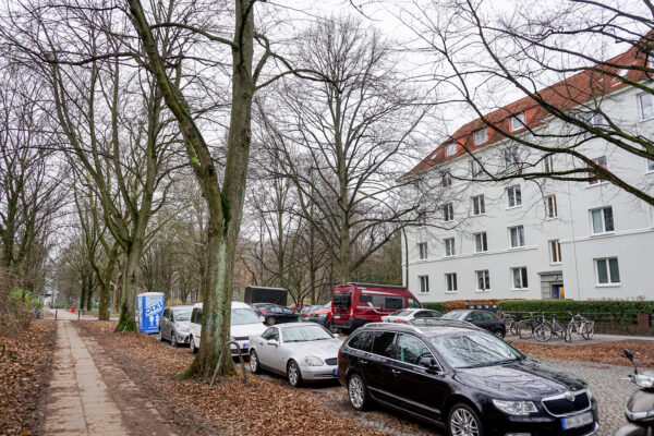 In der Heymannstraße auf Höhe der Hausnummer 22 werden zwei Straßenbäume gefällt. Foto: Julia Haas