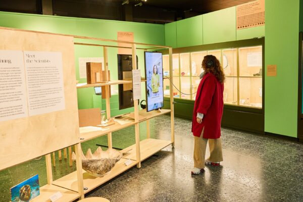 In der zoologischen Ausstellung des Museums der Natur öffnen zwei neue Räume. Foto: Carolin Windel